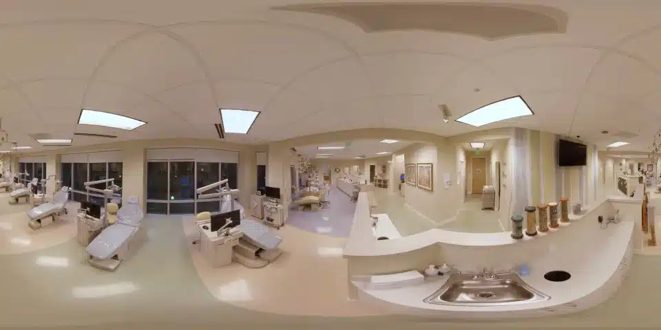 A panorama of our treatment area.
