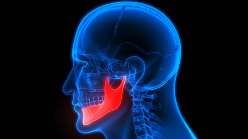 a model with a red jaw to show how TMJ can affect your health