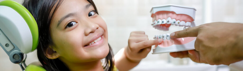 Little girl pointing to model of teeth with braces on